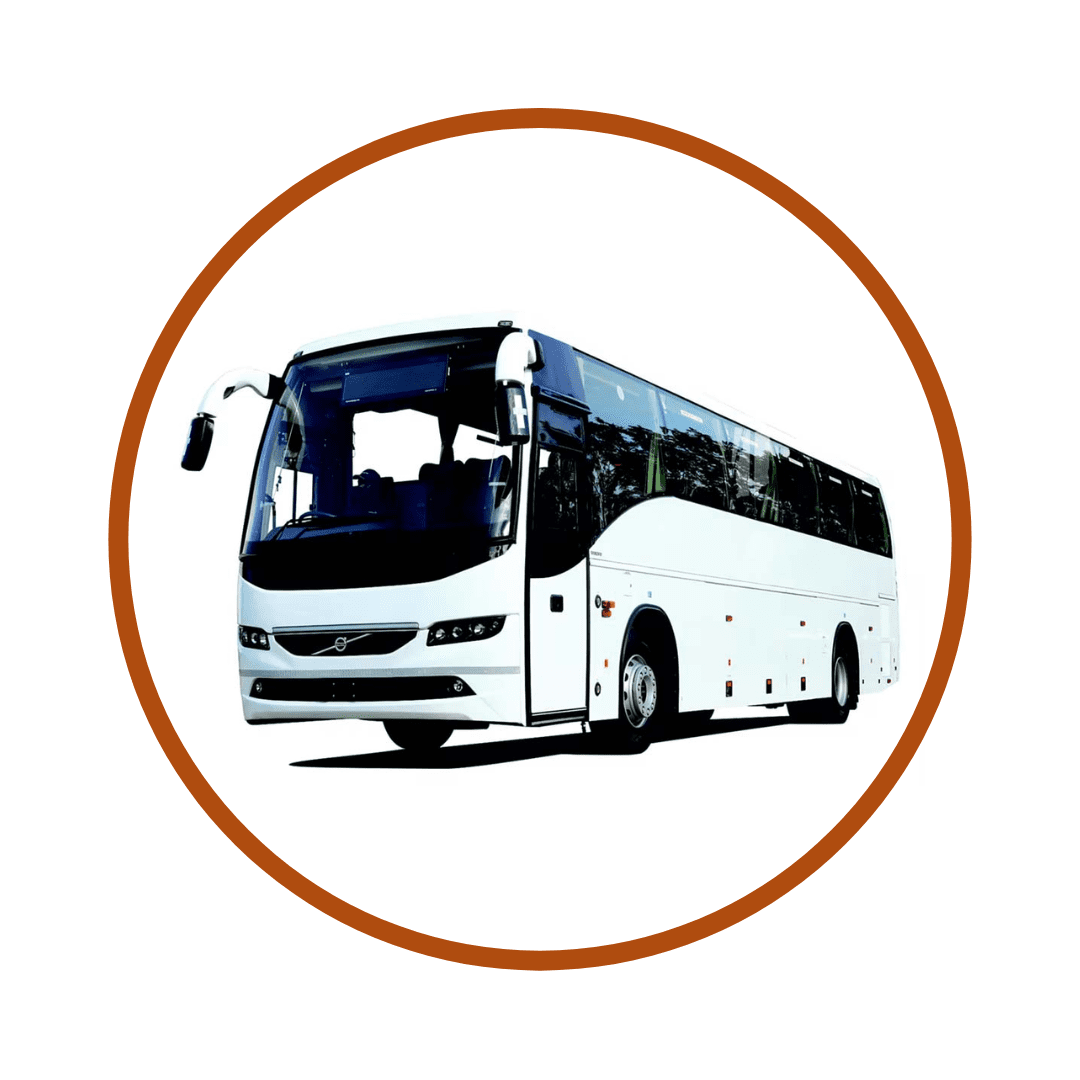 BUS 45+