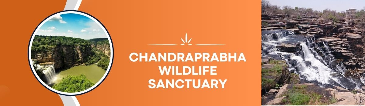 Chandraprabha Wildlife Sanctuary