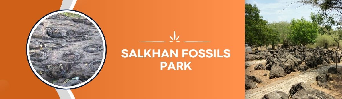 Fossil Tour - SALKHAN FOSSILS PARK